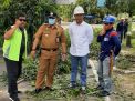 Kerja Sama PLN, DLH Parepare Jamin Pemangkasan Pohon Tidak Merusak dan Tetap Jaga Lingkungan